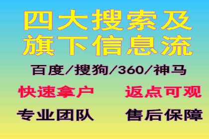 SEM托管服务成功案例：让广告投放更精准、更高效